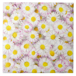 Carreau Patters Pink Purple Daisy Flower