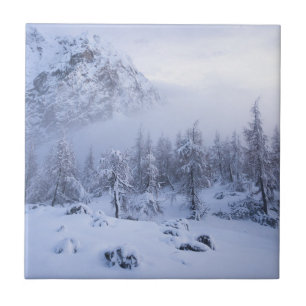 Carreau Pays merveilleux d'hiver, brouillard, forêt d'épin