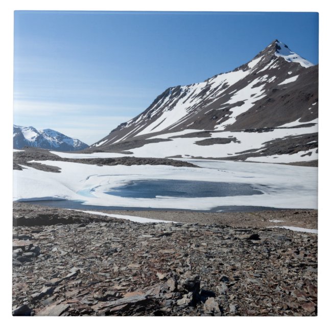 Carreau Paysage de Géorgie du Sud (Devant)