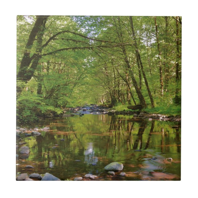 Carreau Paysage de la rivière Wilson (Devant)