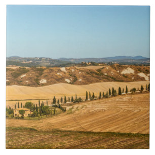 Carreau Paysages typiques pour la province de Sienne en To