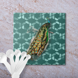 Carreau Peacock De D'Orbigny
