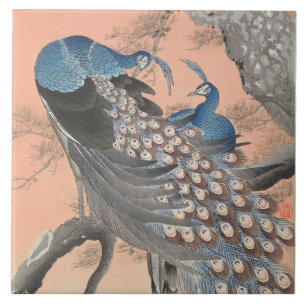 Carreau Peacocks sur Pale Melon Carrelage en céramique