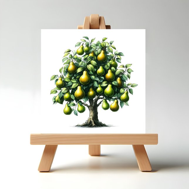 Carreau Pear tree (Pear Tree Illustration on Easel display stand.)