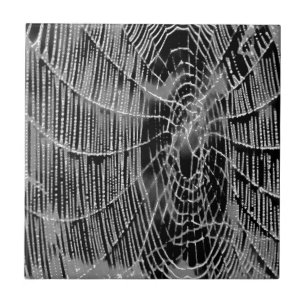 Carreau Peinture Abstraite D'Une Cobweb Blanc Gris Sur Noi