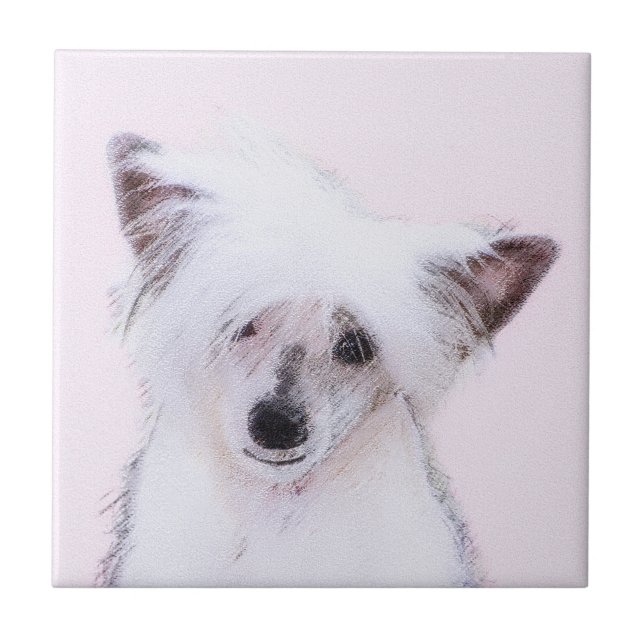 Carreau Peinture chinoise en poudre - Art Chien (Devant)