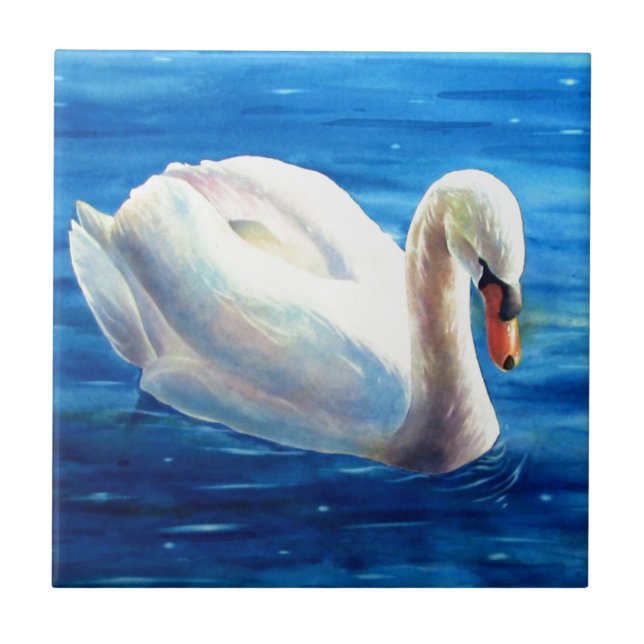 Carreau Peinture d'aquarelle de cygne blanc, sauvagine, oi (Devant)