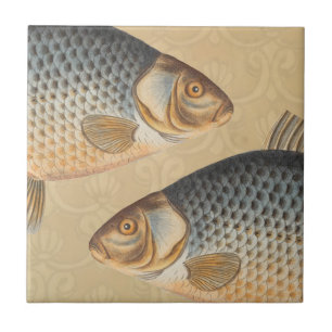Carreau peinture de pêche de carpe dessin d'eau douce 