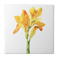Peinture d'or d'aquarelle de fleur de Canna