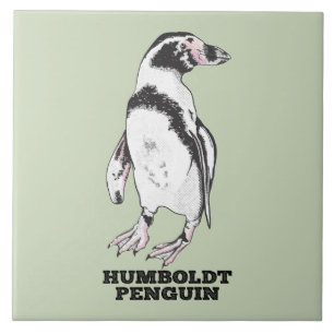 Carreau Penguin de Humboldt