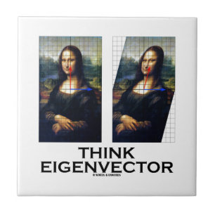 Carreau Pensez le vecteur propre (Mona Lisa reconstituée)