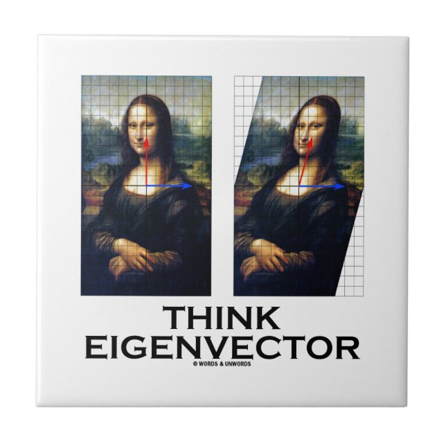 Carreau Pensez le vecteur propre (Mona Lisa reconstituée) (Devant)