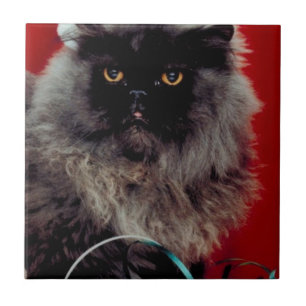 Carreau Père Noël Cat