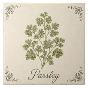 Carreau Persil Vert Botanique Cuisine Herbe de Style Ancie