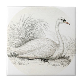 Carreau Personnaliser art vintage shabbychic cygne