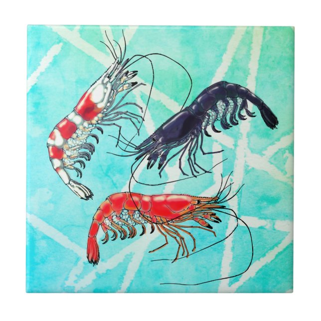 Carreau Pet crevette Hobby Cerise bleu cristal rouge Turqu (Devant)
