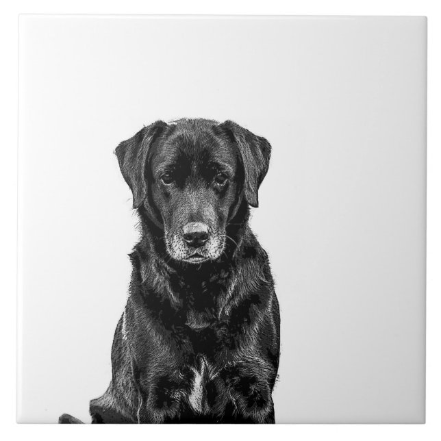 Carreau Petit animal de compagnie de Chien Noir du Labrado (Devant)