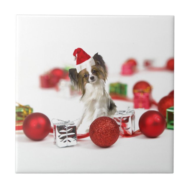 Carreau Petit Papillon Chien Noël Santa Hat (Devant)