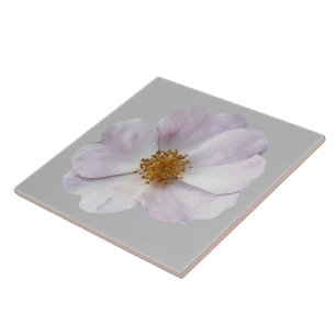 Carreau Petite fleur rose