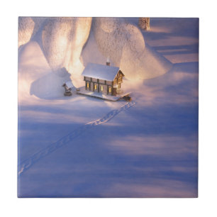 Carreau Petite maison dans le carrelage décoratif de neige