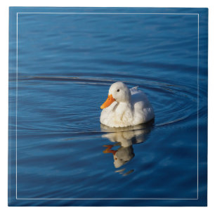 Carreau Petites réflexions de canard blanc