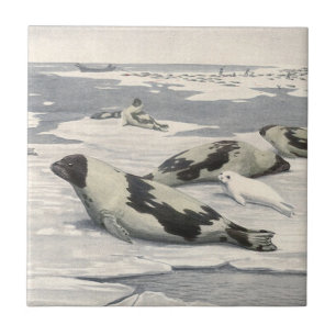 Carreau Phoques de la harpe vintage dans la neige arctique