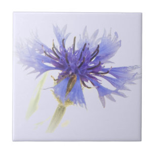 Carreau Photo de Cornflower Bleue -