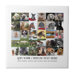 CARREAU PHOTO DONNE MODÈLE FAMILLE AMIS ANIMAUX ANIMAUX PE