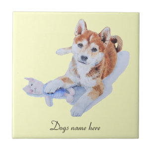 Carreau photo du mignon chiot sheba inu et teddy