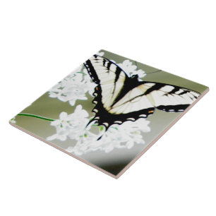 Carreau Photo papillon de l'épaisse du tigre oriental