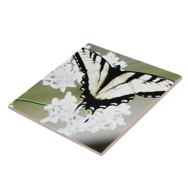 Carreau Photo papillon de l'épaisse du tigre oriental (Côté)