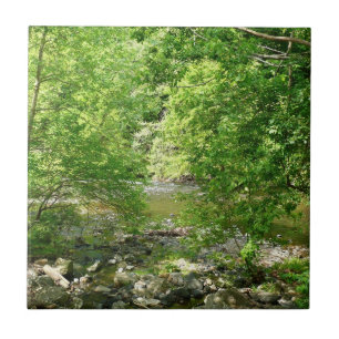 Carreau Photographie de la nature dans le Maryland vue sur