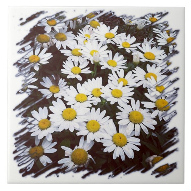 Carreau Photographie de marguerites de Shasta (Devant)