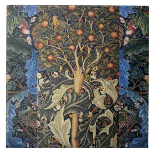 CARREAU PICVERT DANS UN ARBRE FRUITIER ,OISEAUX ,PAONS ,BL