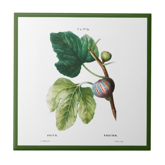 CARREAU PIERRE-JOSEPH REDOUTÉ "FIGUES" TILE CÉRAMIQUE (Devant)