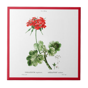 CARREAU PIERRE-JOSEPH REDOUTÉ "GERANIUM ROUGE" TILE CÉRA