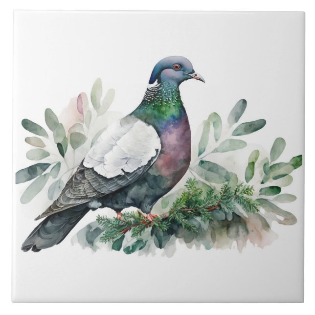 Carreau Pigeon Sur Un Arbre D'Épinette (Devant)