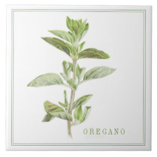 Carreau Pile céramique OREGANO 6x6 (+texte)