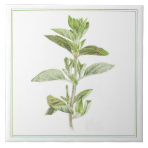 Carreau Pile céramique OREGANO 6x6 (-texte)