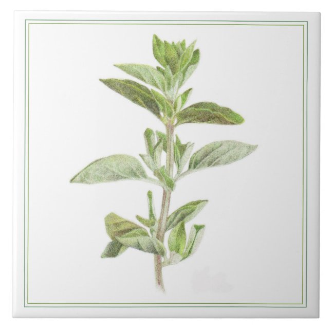 Carreau Pile céramique OREGANO 6x6 (-texte) (Devant)