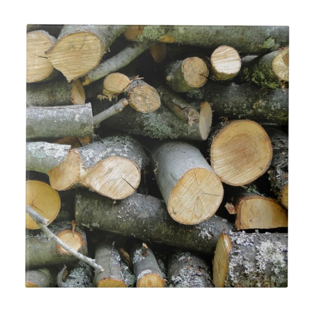 Carreau Pile de bois de chauffage coupé empilé (Devant)