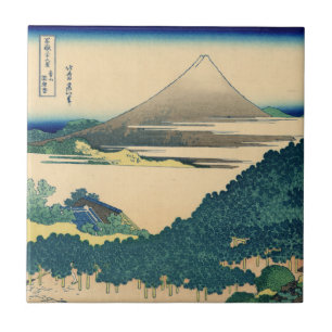 Carreau Pin de coussin chez Aoyama