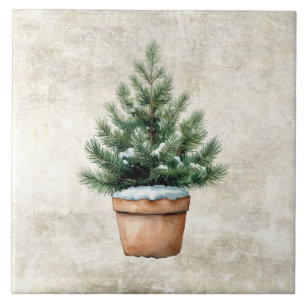 Carreau Pin sylvestre en pot à l'aquarelle rustique