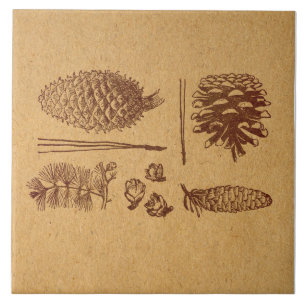 Carreau Pinecone d'art Vintage