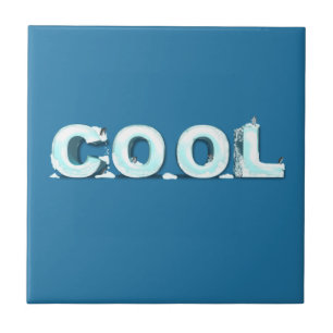 Carreau Pingouins cool