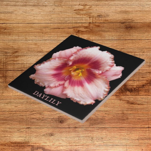 Carreau Pink Daylily Bloom sur Black Floral (In Situ)