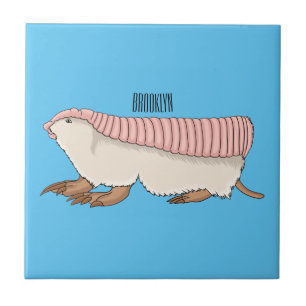 Carreau Pink fairy armadillo