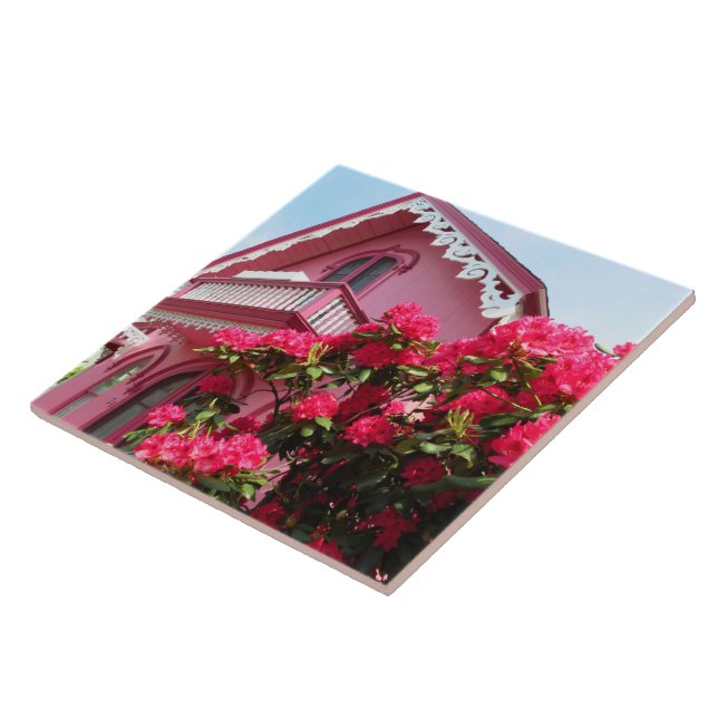 Carreau Pink on Pink - Martha's Vineyard (Côté)