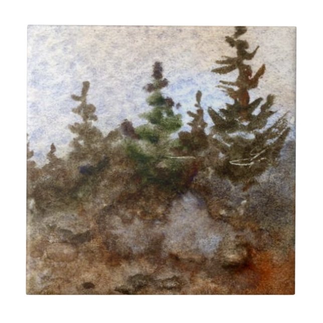 Carreau Pins sur les rochers contre un ciel doux (Devant)