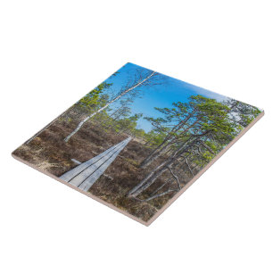 Carreau Piste en bois au-dessus du marais